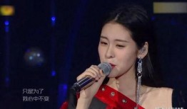 华晨宇张碧晨的最新爆料,揭秘幕后故事与情感纠葛